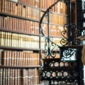 Bust Trinity College Library by Terry De roode