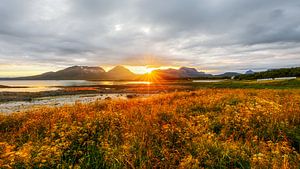Sonne verschwindet fast hinter einem norwegischen Bergrücken von Karla Leeftink