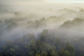 Mistig bos vanuit de lucht tijdens de herfst