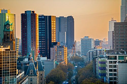 Skyline Rotterdam - seen coolsingel and erasmusbrug during sunset. Goldenhour.