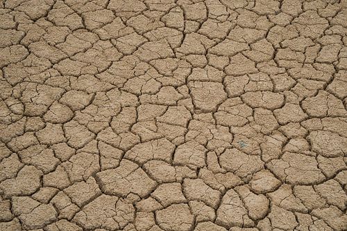 Sehr trockener, rissiger Boden von Gert van Santen