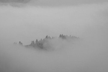 Mistige bergen in de Vogezen, Frankrijk van Holly Klein Oonk