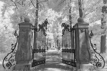 de poorten naar het kasteel. van Henri Boer Fotografie