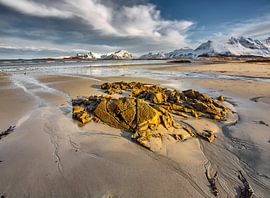 Paysage hivernal avec une plage et des montagnes enneigées