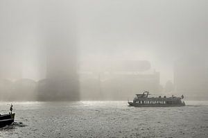 Nebel auf der Maas