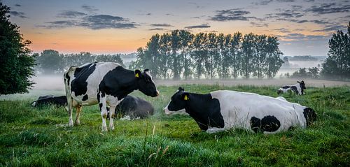 Sunrise over the countryside