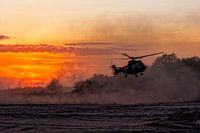 Cougar in actie tijdens zondergang