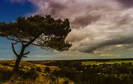 View of Midsland by Mirjam Rypma