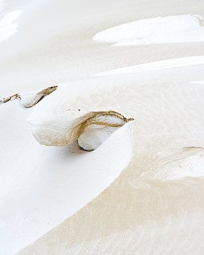 Frosty Dunes van Sonny Vermeer