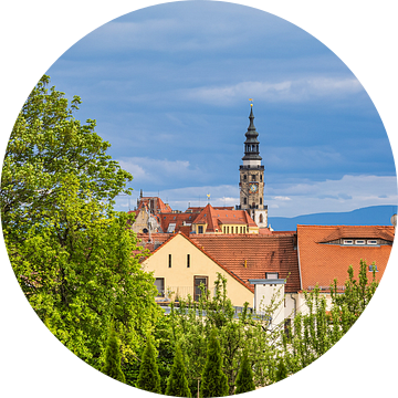 Gezicht op historische gebouwen in de stad Görlitz van Rico Ködder