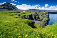 De kust van Arnarstapi, IJsland von Joep de Groot Miniaturansicht