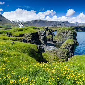 De kust van Arnarstapi, IJsland van Joep de Groot