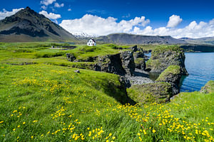De kust van Arnarstapi, IJsland