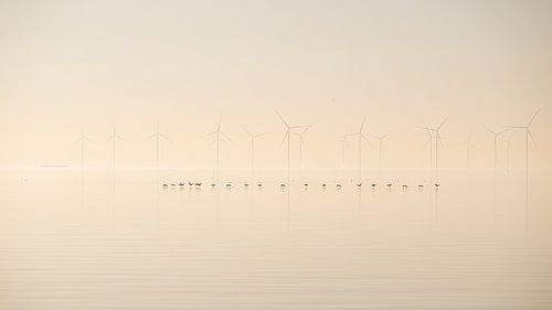 Low flyers by Pieter Poot