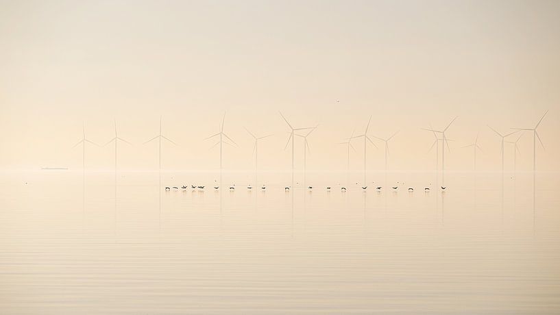 Low flyers by Pieter Poot