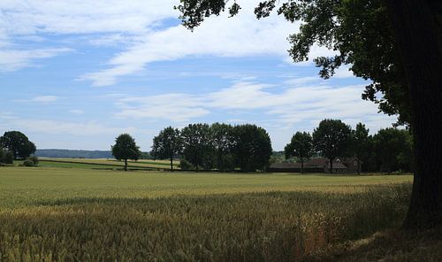 Ferme du sud du Limbourg