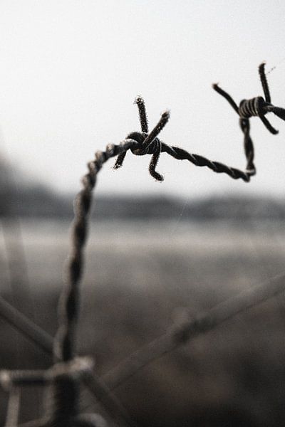 Prikkeldraad van Joel Layaa-Laulhé