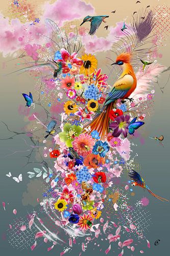 Paradiesvogel von C Dekker