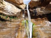 Lower Calf Creek Falls van Renate Knapp thumbnail
