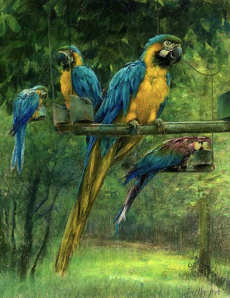 Berthe Art,Blauwe en gele ara's van finemasterpiece