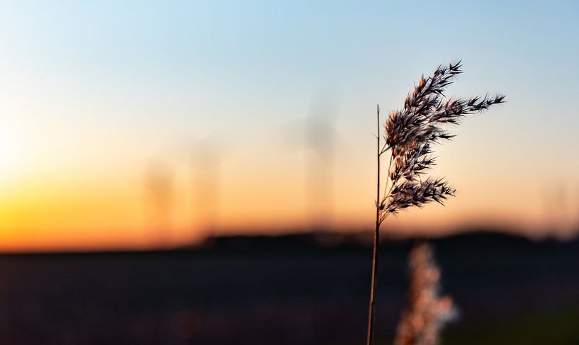 Avondlicht op Walcheren 5 by Percy's fotografie