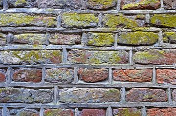 Stadtmauer Zwolle von Frans Blok