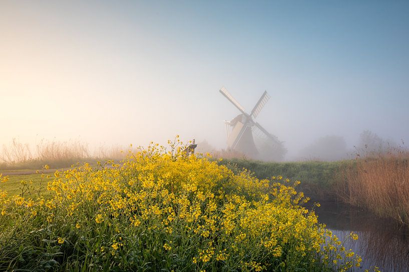 Morgenstille an der Nordmühle von Peter Kuipers
