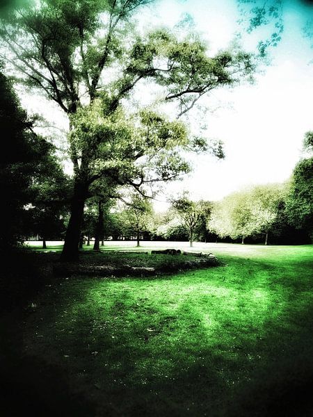 Cercle de troncs d'arbres par Elo Mars