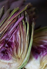 Artichoc von Nicky Schouten