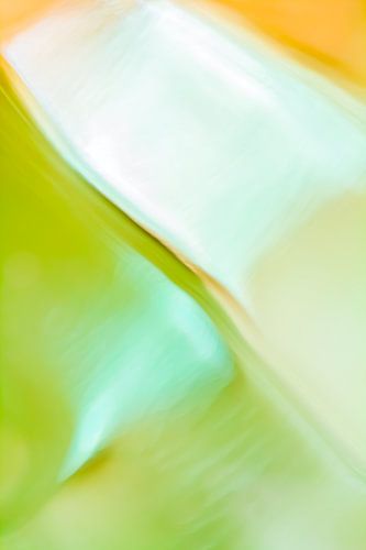 Herfst - abstracte fotografie