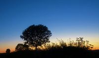 Blue hour after sunset