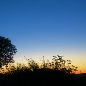 Bleu heure après le coucher du soleil sur A'da de Bruin