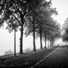 Radfahrer im nebligen Charles Eyckpark in Maastricht von Streets of Maastricht
