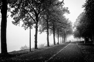Fietser in het mistige Charles Eyckpark in Maastricht