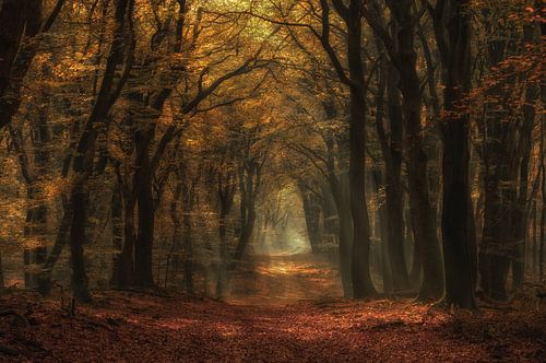 Herfst