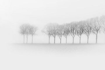 Mist in de ochtend. van Alie Ekkelenkamp