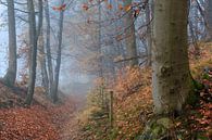 Forêt d'automne brumeuse avec sentier forestier par Peter Bolman Aperçu