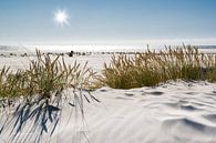 Magie des dunes de la mer du Nord par Reiner Würz / RWFotoArt Aperçu