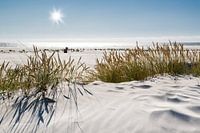 Noordzee duinmagie