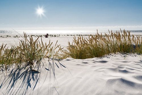 Nordsee Dünenzauber