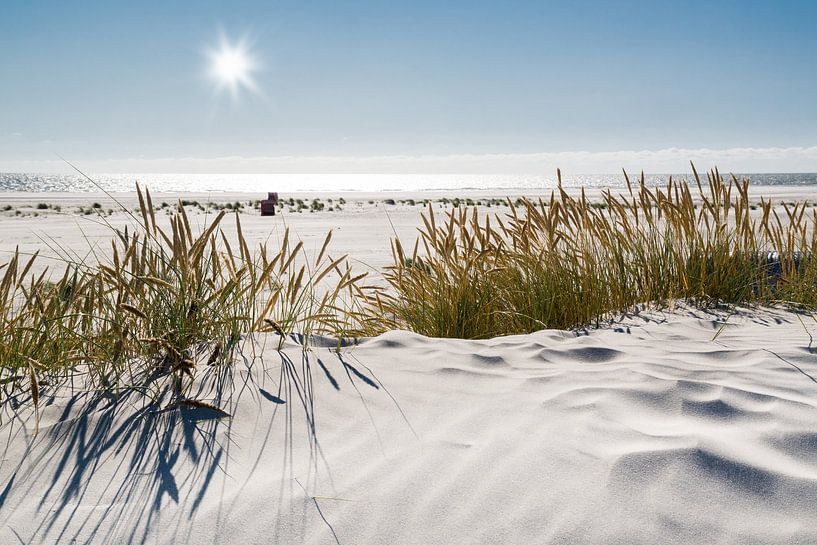 Magie des dunes de la mer du Nord par Reiner Würz / RWFotoArt