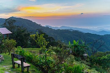 Zonsondergang bankje met uitzicht op de jungle van FlashFwd Media