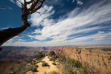 Weids overzicht op de Grand Canyon van De wereld door de ogen van Hictures