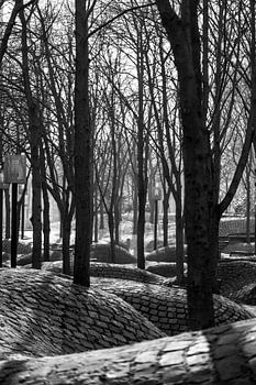 poetische winters bos in de stad.