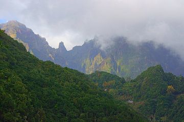 Die Berge von Madeira von Michel van Kooten