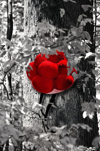 Bollen hat on tree colored by Ingo Laue