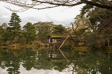 Japanse tuin Kenroku-en in Japan van Sacha Ooms