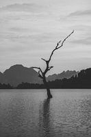 Ontdek de Natuurlijke Schoonheid van Cheow Lan Lake