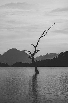 Ontdek de Natuurlijke Schoonheid van Cheow Lan Lake van Ken Tempelers