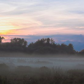 Dawn von Donald Willemsen